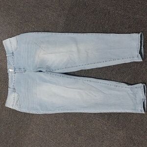 Deja Bleu Premium Light Wash High Rise Skinny Jeans Plus Sz 20